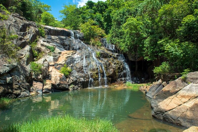 Кусочек раяphoto preview