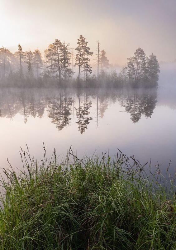 Туманное утроphoto preview