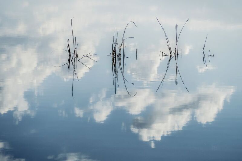 вечер, отражения, озеро Иероглифы нашей жизниphoto preview