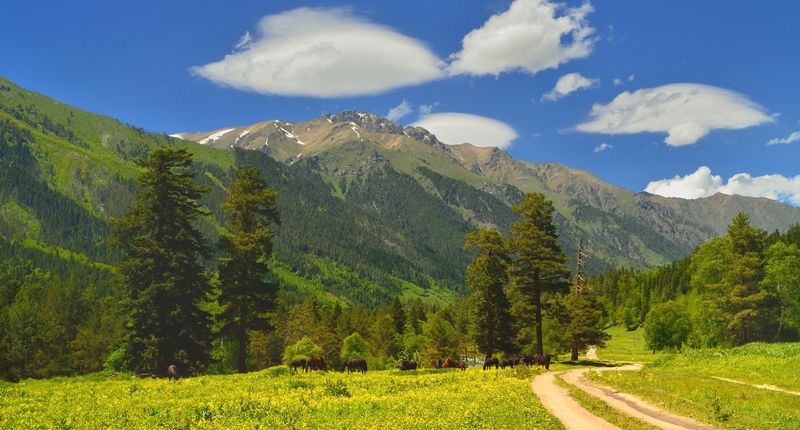 горы лето кавказ Лето в горах Кавказа,Аксаутphoto preview