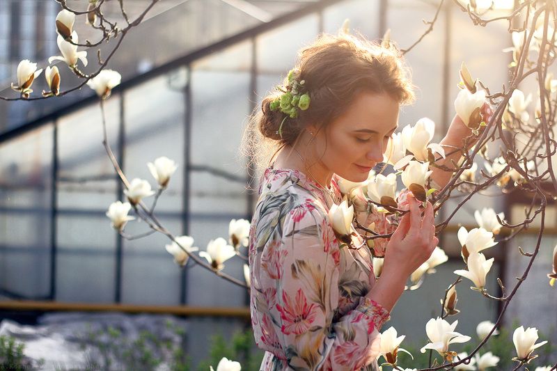 Магнолияphoto preview