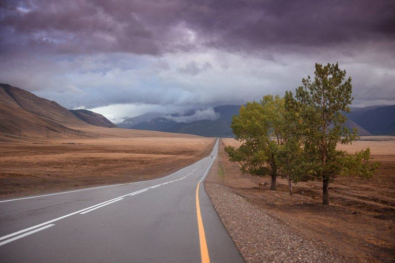 Чуйский, тракт, горный, алтай, пейзаж, роман, карамышев, степь Чуйский тракт.photo preview