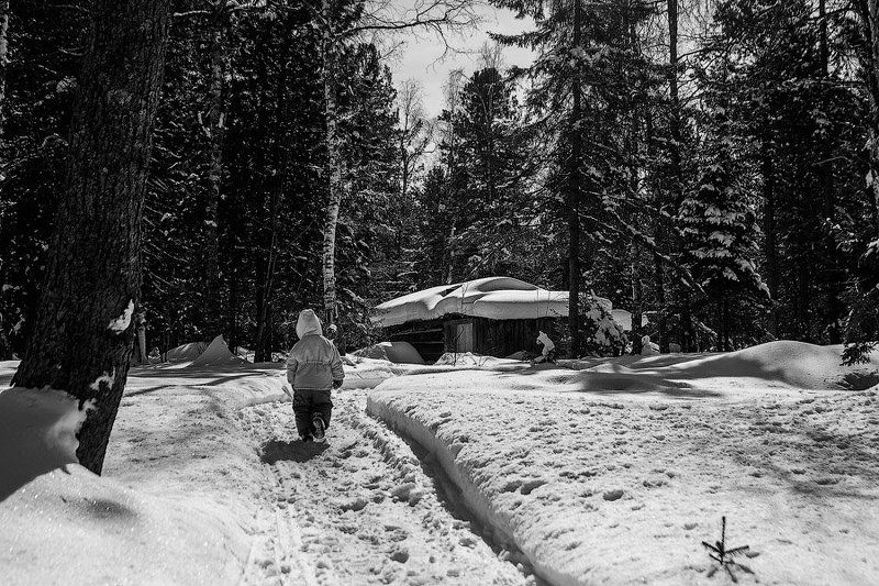 В Сибирской глубинкеphoto preview