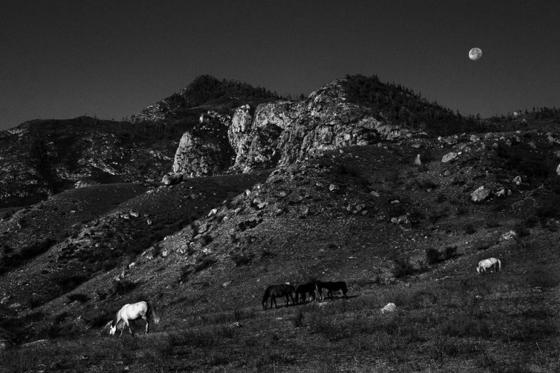 Прогулки при лунеphoto preview