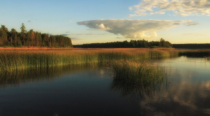 **********photo preview