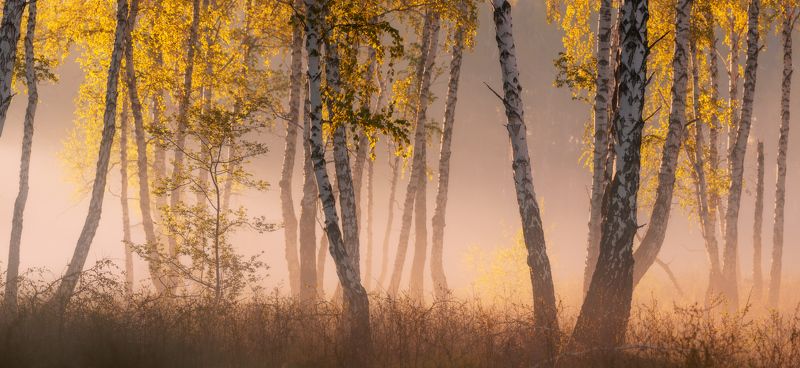Воздух фото превью