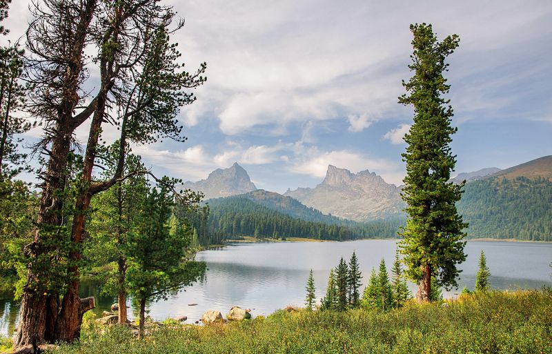 вечером на Светломphoto preview