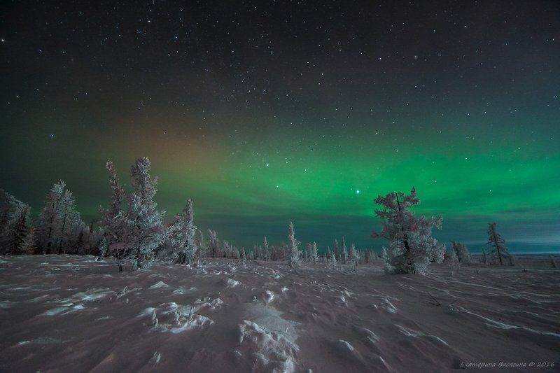 ямал, зима, сияние Под небом Ямала... фото превью