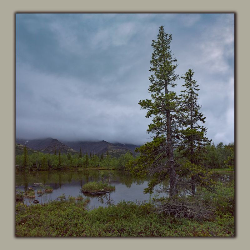 В Хибинах.photo preview