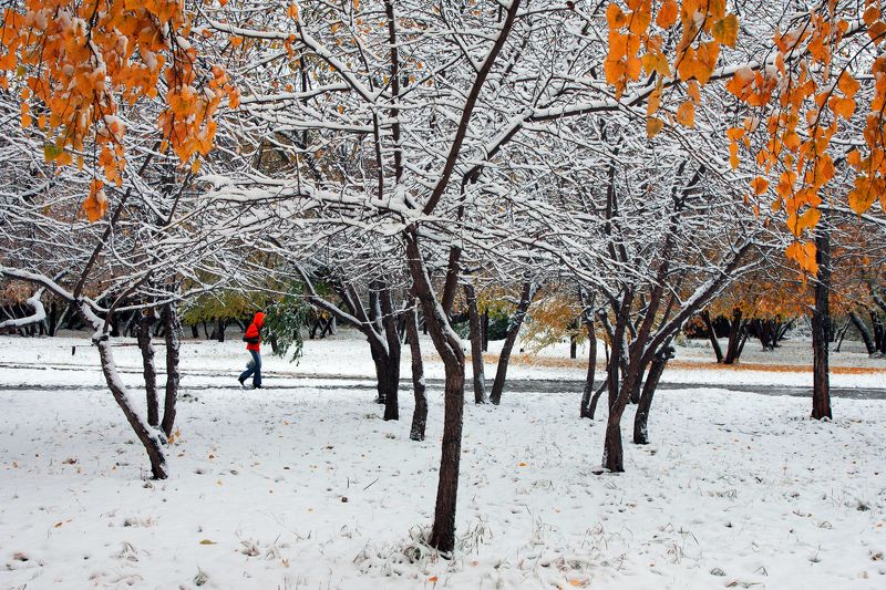 Осеньphoto preview