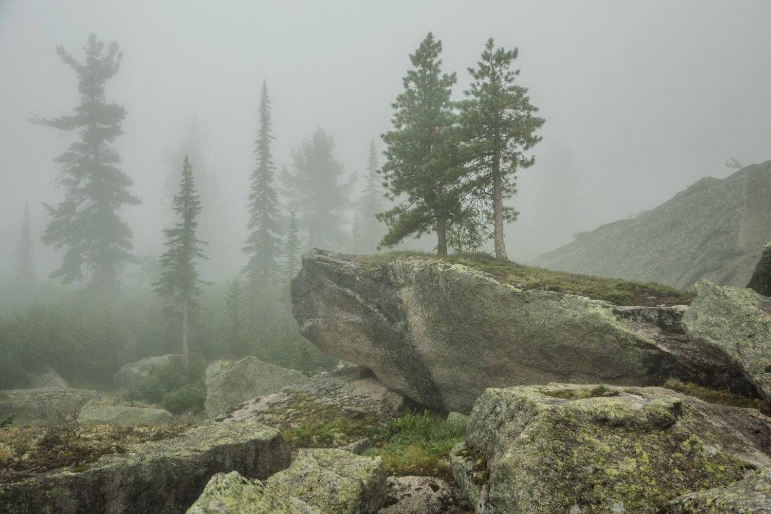 , Алексей Кретов