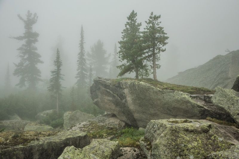 две сестрыphoto preview