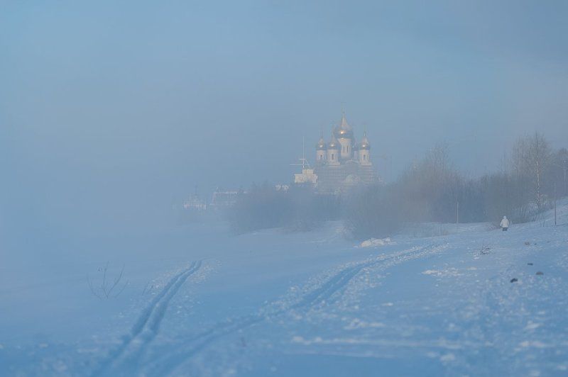 Синеваphoto preview