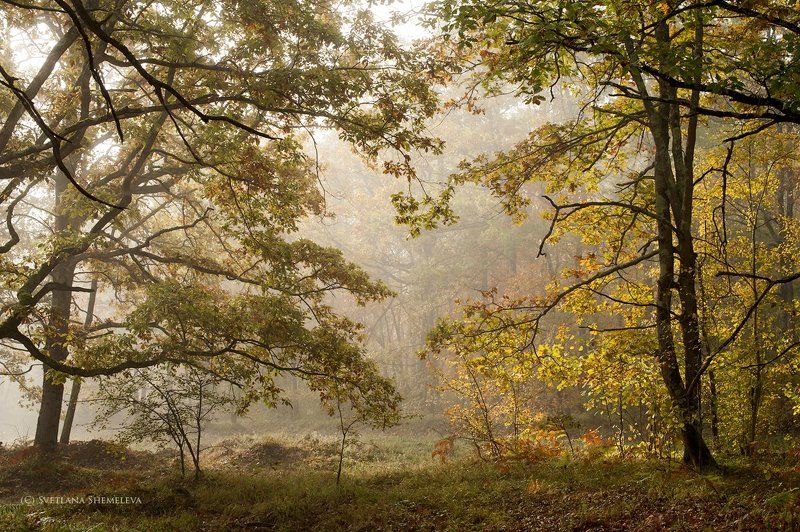 Путешествие в осеньphoto preview