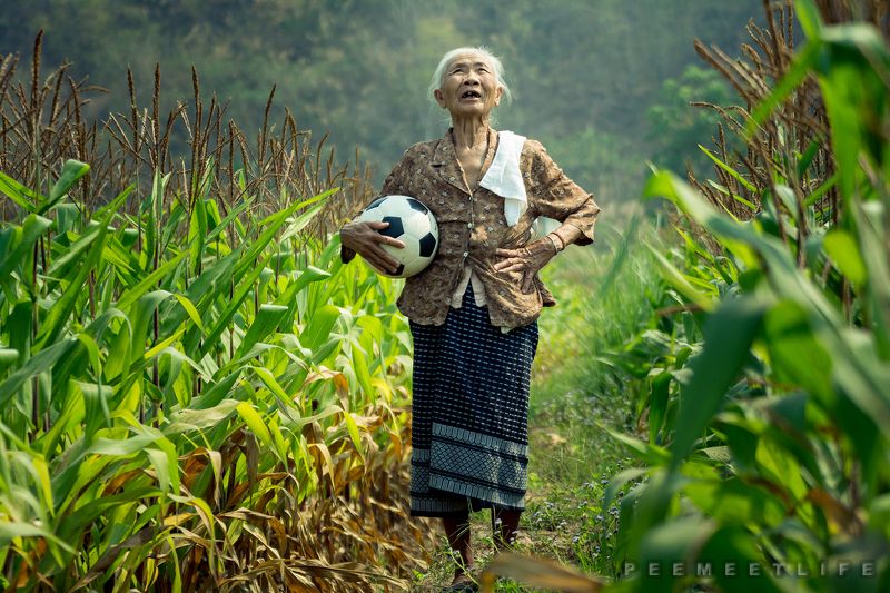 Life is beautifulphoto preview