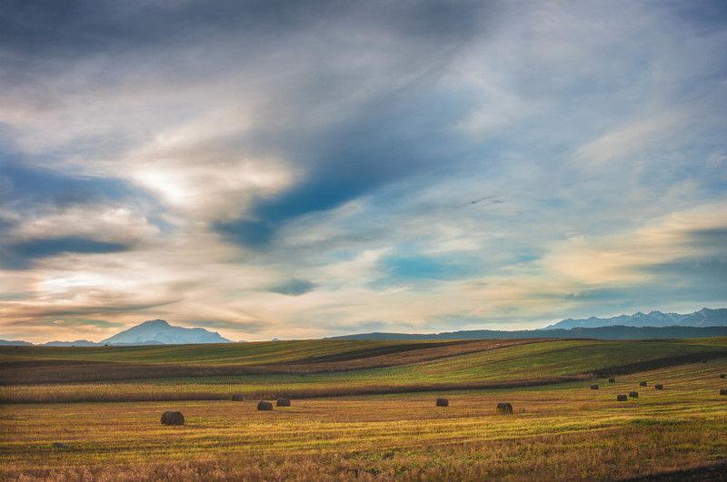 Альпийские луга Кавказаphoto preview