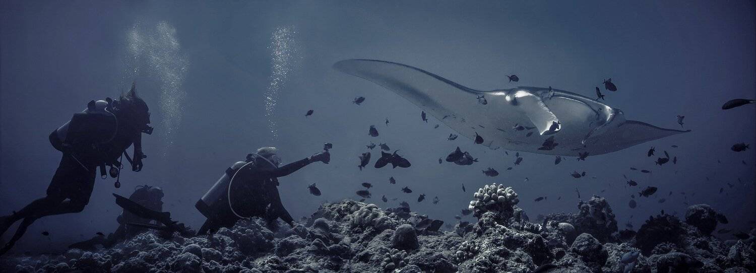 Дефиле. Автор: Дмитрий , Дмитрий