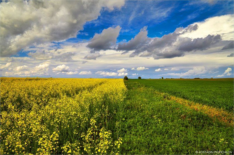 Spring Coloursphoto preview