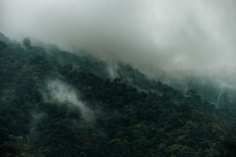 Khao Raphoto preview