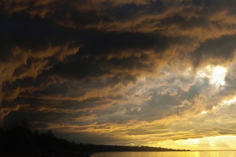 Что день грядущий нам готовит...photo preview