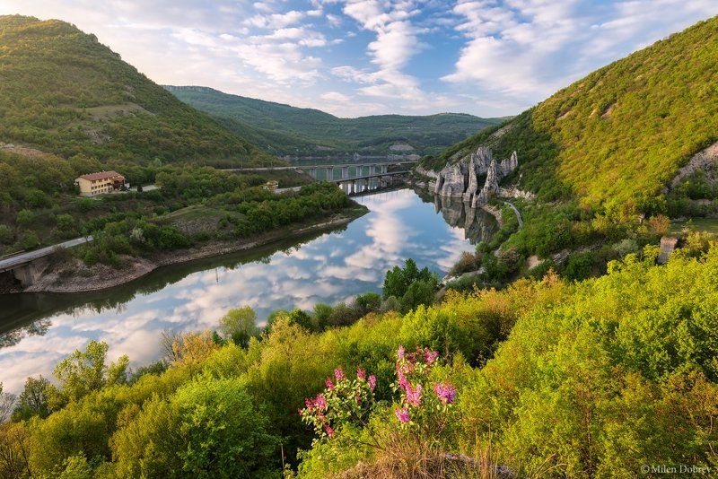 Bulgaria, landscape, spring, river, blossom Springphoto preview