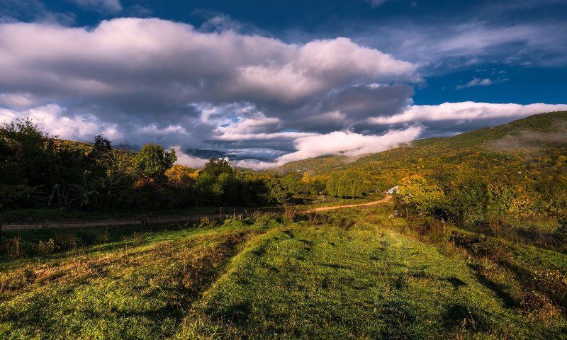 Теммнолесская осеньphoto preview