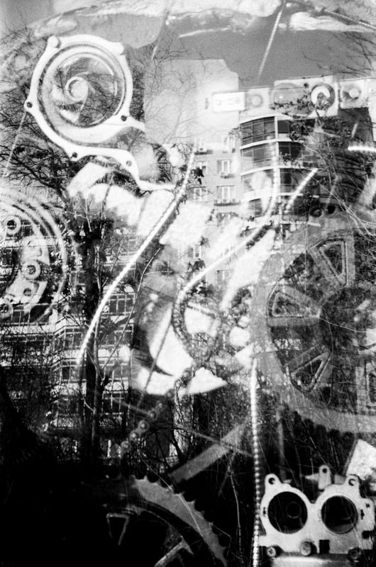 #koshkinotime #sosna #b\\w #analog Механика городаphoto preview