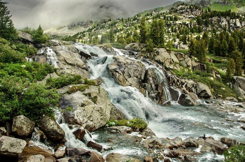 русые косы  Дарашколяphoto preview