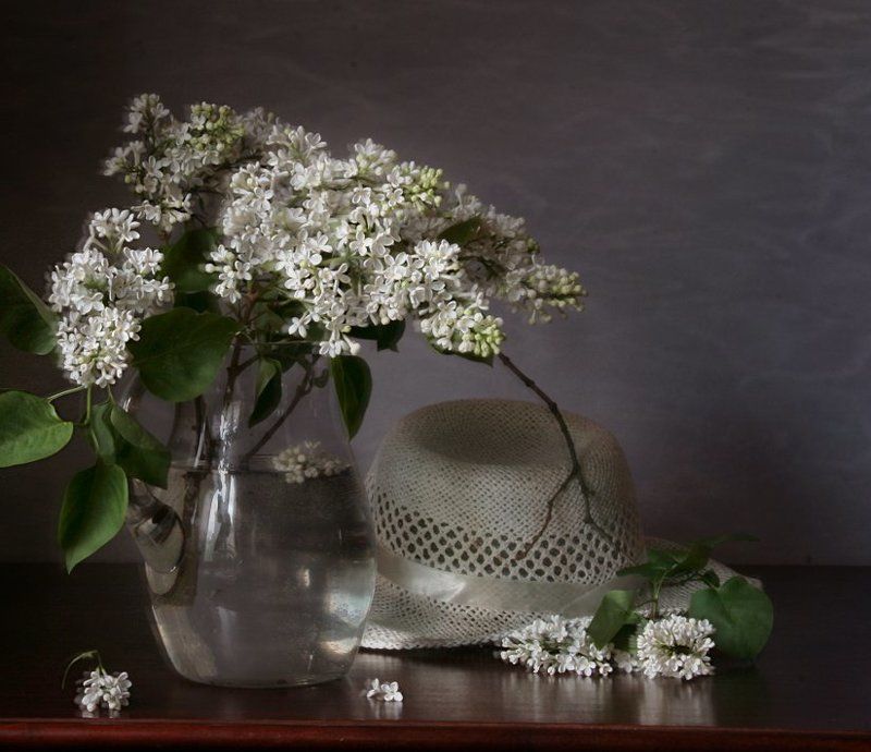 Белая сирень, Весна, Натюрморт, Сирень, Фотонатюрморт Шляпаphoto preview