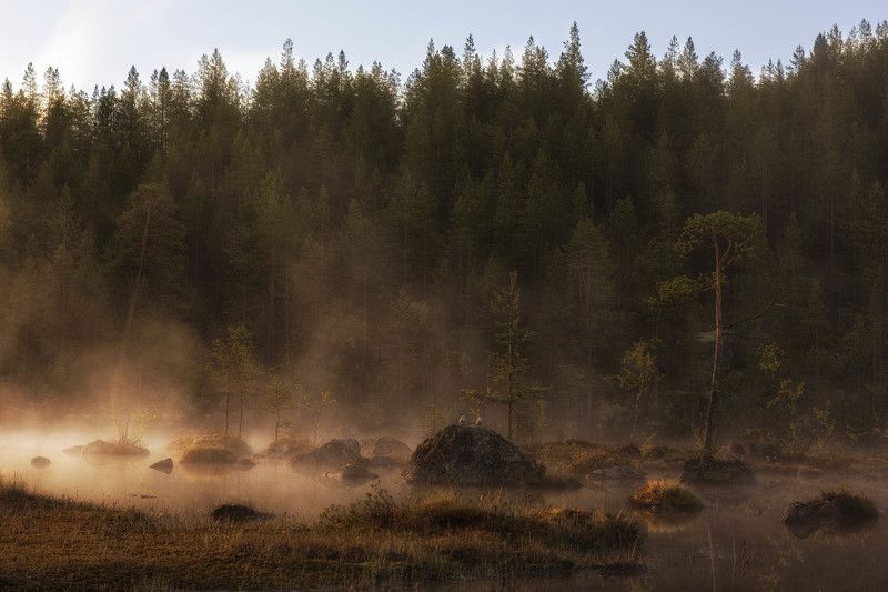 Полярный день . Раннее утро.  Где то на просторах Кольского полуострова . лето 2015photo preview
