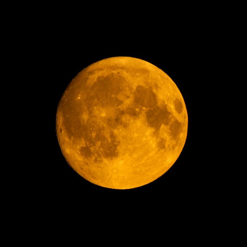 Вечерняя лунаphoto preview