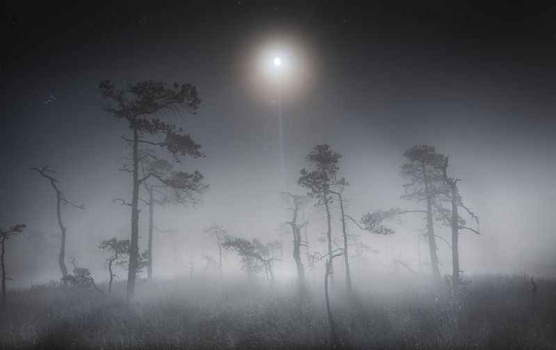 Под лунным сиянием photo preview