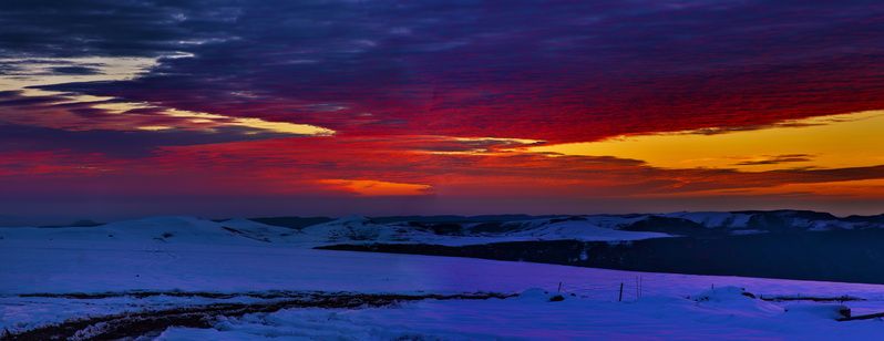 Подсветило на рассвете...photo preview