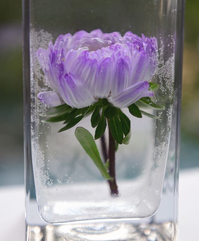 Цветочная абстракцияphoto preview