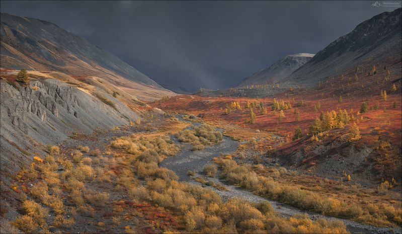 горный алтай, джазатор, беляши, фототур на алтай, осенний фототур на алтай, укок, фототуры 2026, фототуры по россии 2026 Временами дождь ..photo preview