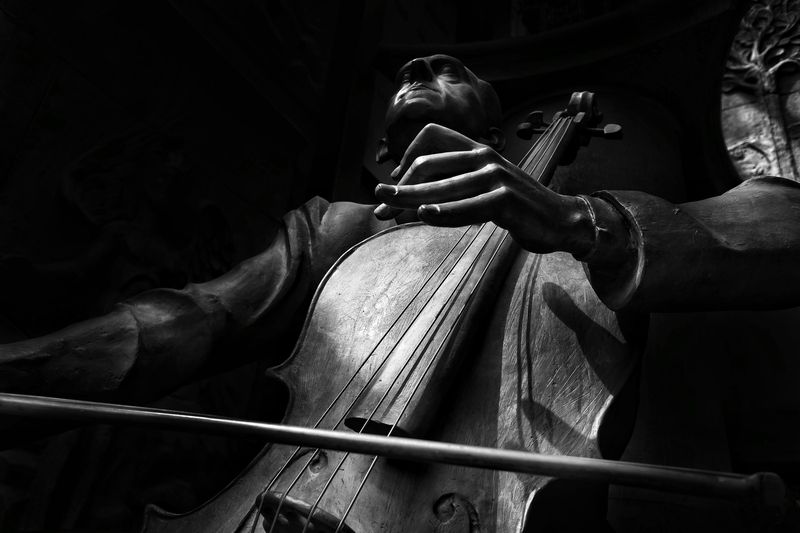 единство, чувства, музыкант Единениеphoto preview