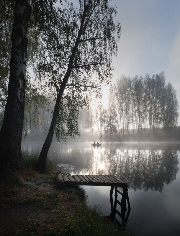 лес, свет, утро, природа ***photo preview