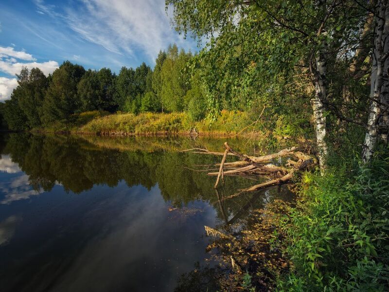 россия, пруд, чувашия, природа Маленький прудphoto preview