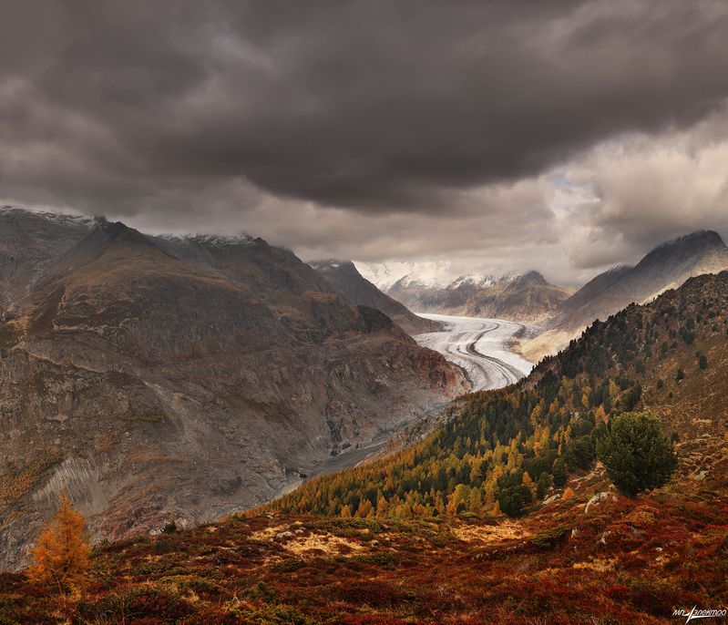 swiss Акценты Осениphoto preview