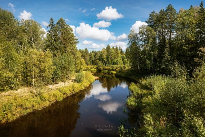колынва, река Колынва фото превью