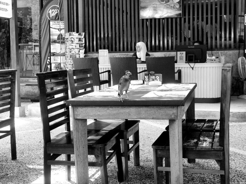 curiosity, b&w, жанр, сюжет Curiosityphoto preview