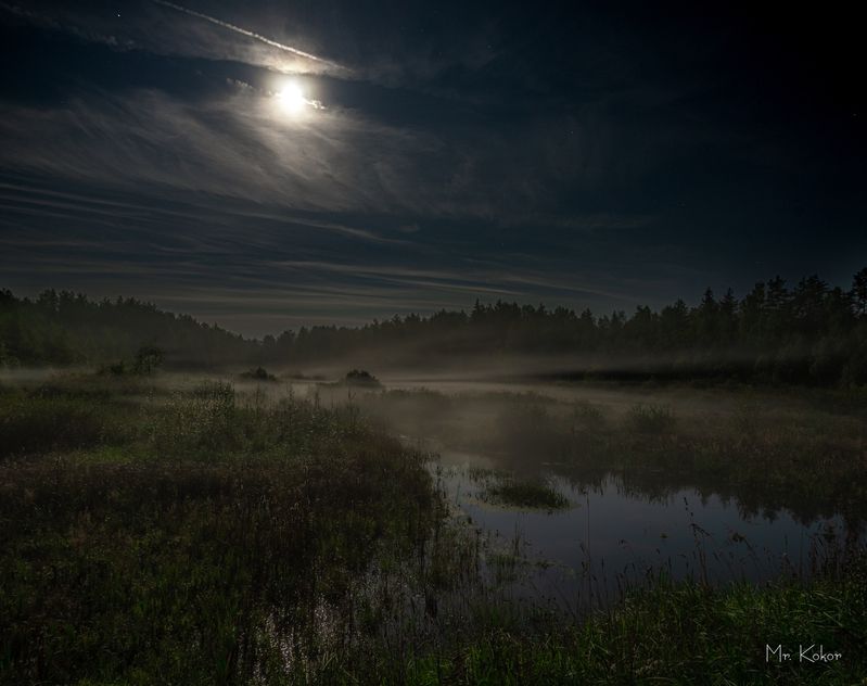 Лунный свет в тумане фото превью