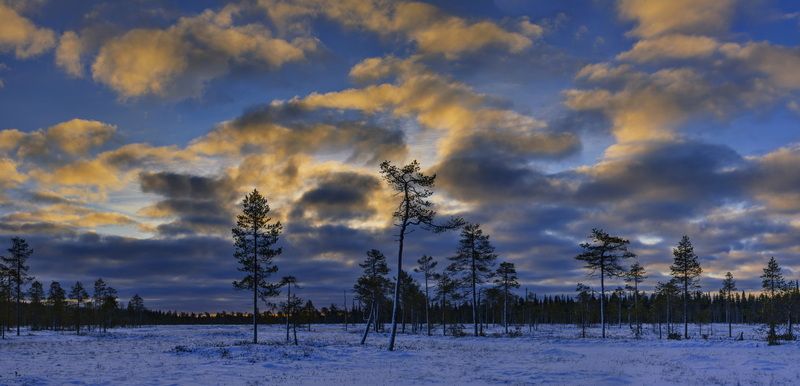 На болотах зимника в Кировскphoto preview