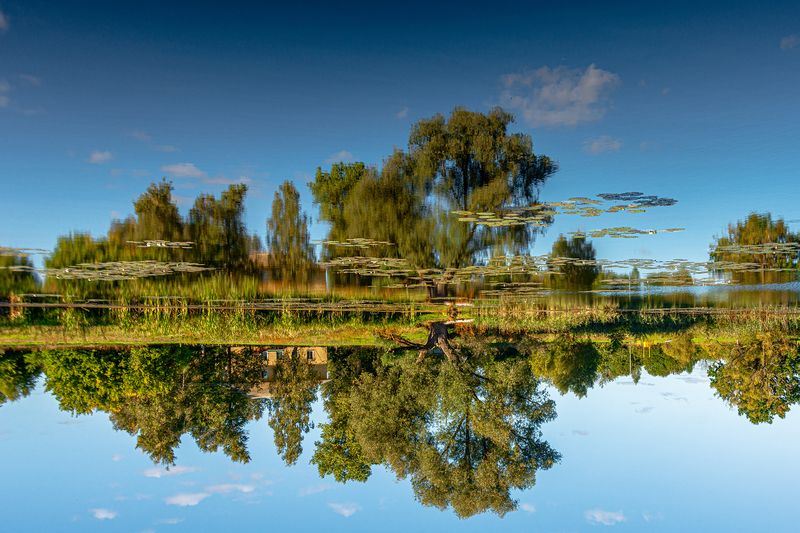 Перевернутая реальность фото превью
