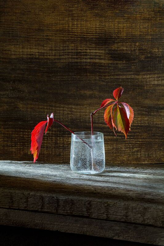 красная веточка, стопка, вода, пузырьки, доска photo preview