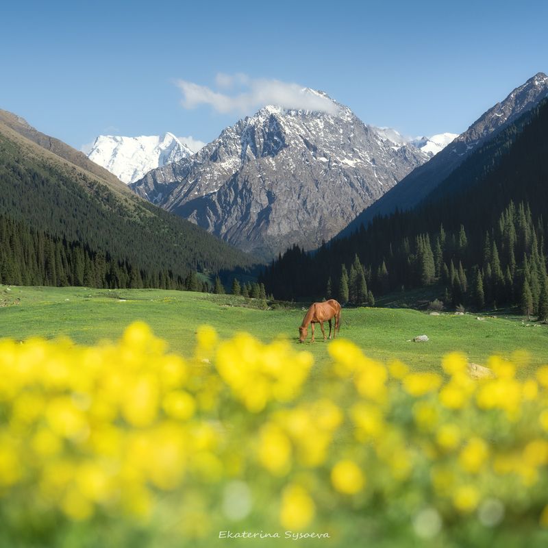 Киргизияphoto preview