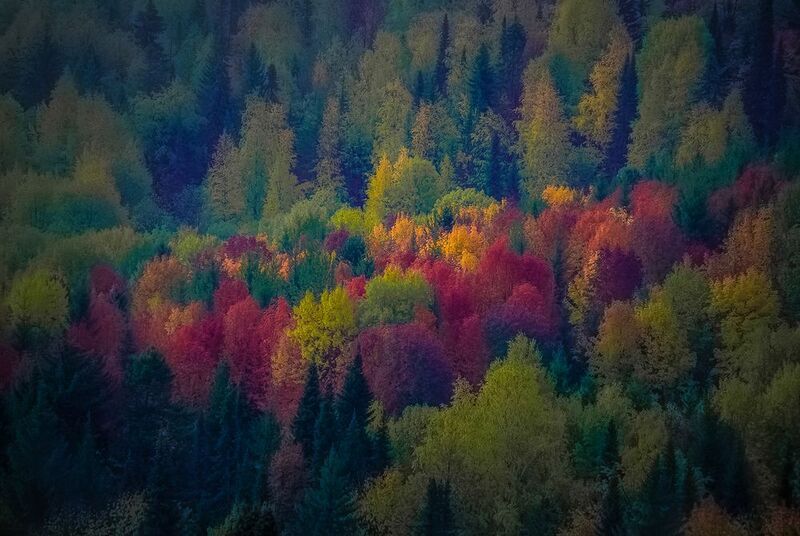 Осень.photo preview