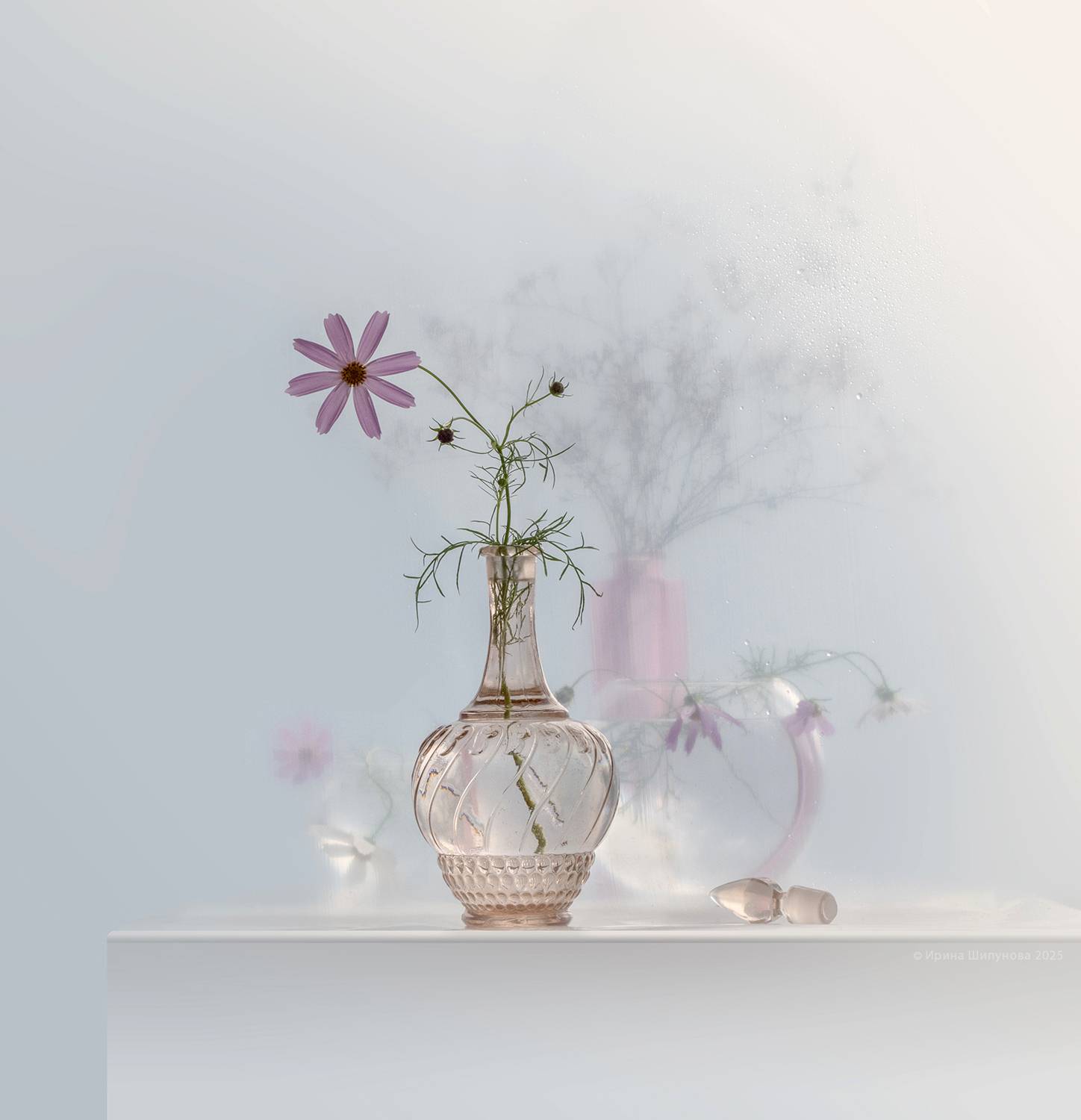 , Шипунова Ирина