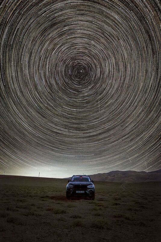 Северный гостьphoto preview