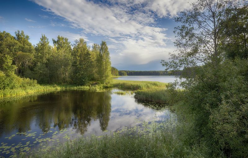 Речка Волчинаphoto preview